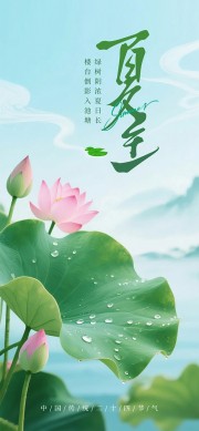 夏至夏天节气海报图片素材夏至