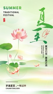 池塘荷花锦鲤元素夏至节气海报