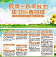 夏季三伏天养生知识科普展板