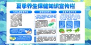 蓝色清新夏季养生保健知识展板