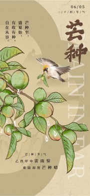 芒种节气海报图片素材夏至