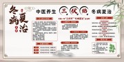 夏季养生健康三伏贴宣传知识科普展板