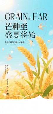 芒种节气海报