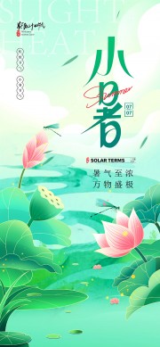 二十四节气之小暑广告