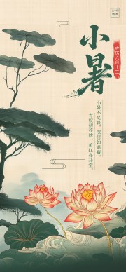 小暑二十四节气海报