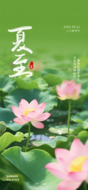 二十四节气夏至海报