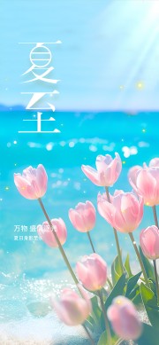 夏至节气海报