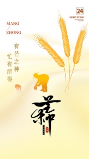二十四节气芒种广告