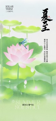 夏至节气广告模板