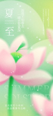 唯美夏至节气海报
