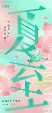 粉色花卉背景夏至二十四节气海报