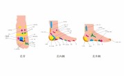 脚部反射区中医养生图片素材