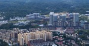 现代化都市的绿色生态