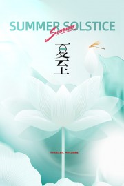 清新风夏至节气海报