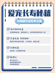 宠物长寿秘籍海报