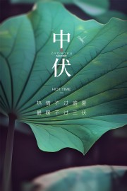 清新诗意唯美中伏时节宣传海报