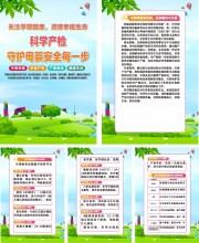 母婴健康科学产检挂图图片素材