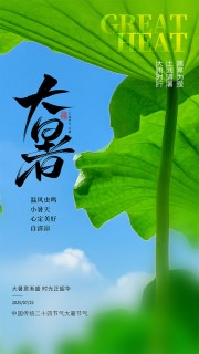 时光正韶华传统大暑节气海报