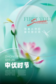 中伏时节宣传海报