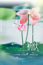 初伏养生宣传海报