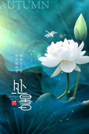 处暑节气海报图片素材
