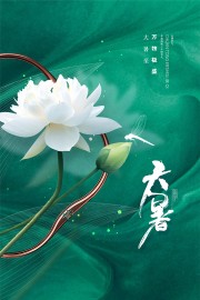 万物极盛简约传统大暑节气广告