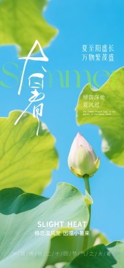 二十四节气大暑海报