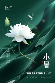 小暑节气海报图片素材下载
