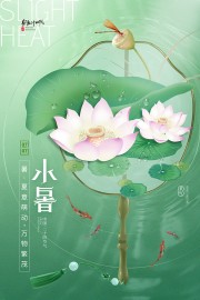 万物繁茂绿色清新小暑节气广告