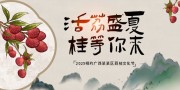 荔枝文化节活动主视觉展板