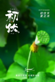 初伏夏天海报图片素材