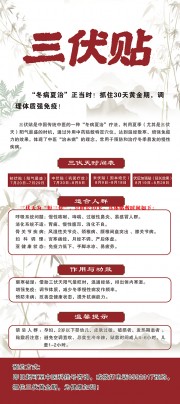 中医养生冬病夏治三伏贴推广展架