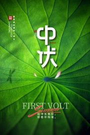 绿色中伏时节宣传海报