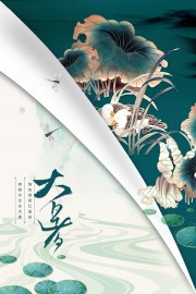 大暑节气海报图片