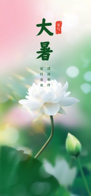 夏日炎炎粉绿色传统大暑节气海报