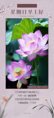 早上好日签海报