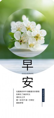 簲ǩͼƬ