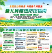 基孔肯雅热知识宣传展板