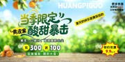 创意黄皮果水果宣传海报图片素材