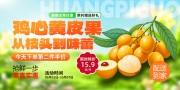新鲜黄皮果水果展板