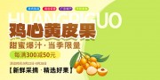 新鲜黄皮果水果展板