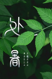 绿色二十四节气处暑海报