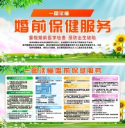 一图读懂婚前保健服务知识宣传展板