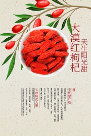 大漠红枸杞健康养生食品宣传海报