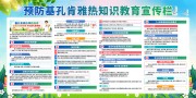 预防基孔肯雅热知识展板