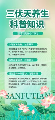 三伏天养生科普知识宣传海报
