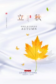简约立秋节气图片