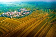 乡村秋色鸟瞰风景图片素材