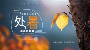 二十四节气处暑展板