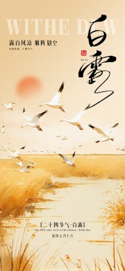 白露节气广告